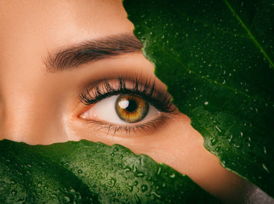 Lash Mapping 101: How to Customize Lash Extensions for Every Eye Shape